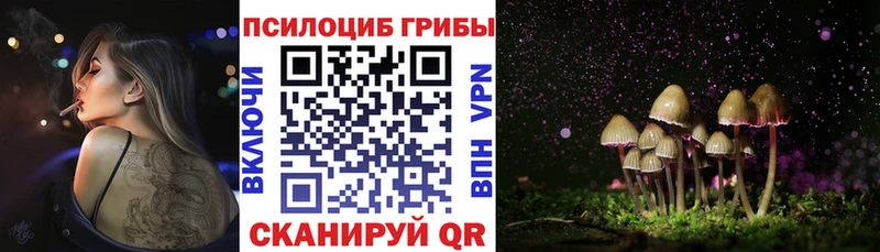 купить наркотики сайты  площадка официальный сайт  Псилоцибиновые грибы Psilocybe  Астрахань 